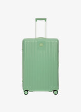 Vidutinis pozitano vienspalvis vežimėlis