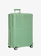 Vidutinis pozitano vienspalvis vežimėlis