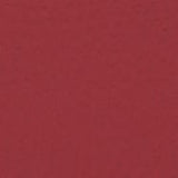 1927 m. Žemyninė piniginė