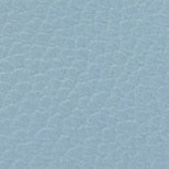 „Furla Camelia“ vokas