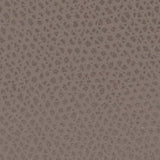 „Furla Camelia“ žemyninė piniginė