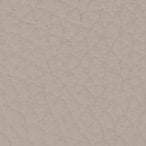 Furla Camelia S Compact Wallet Bifold Coin