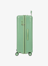 Vidutinis pozitano vienspalvis vežimėlis