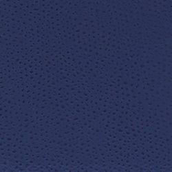 Navy Furla 1927 Mini Crossbody 20, natural leather – view 5