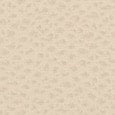 Beige Furla Camelia S Compact Wallet L Zip, natural leather – view 5