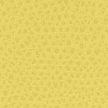 Yellow Furla Camelia S Compact Wallet L Zip, natural leather – view 5