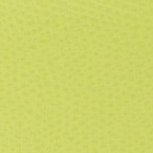 Yellow Furla Camelia S Compact Wallet, natural leather – view 5