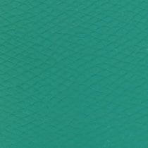 Green Furla Camelia S Zipped Card Case Aw25, card holder natural leather – view 5