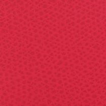 Red Furla Camelia S Zipped Card Case Aw25, card holder natural leather – view 5