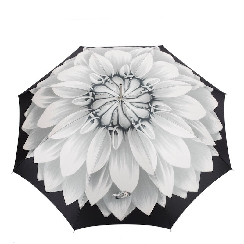 Silver Sunflower - Heros