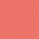 CAMELIA S COMPACT WALLET L ZIP