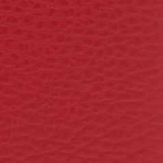 CAMELIA S COMPACT WALLET L ZIP Cruise