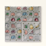 FURLA PRIMULA CARRE' 60X60