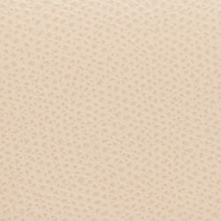 Beige Furla 1927 Mini Crossbody, natural leather – view 6