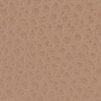 Taupe Furla Camelia Continental Wallet Aw25, natural leather – view 4
