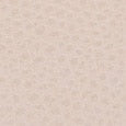 Beige Furla Camelia S Compact Wallet L Zip, natural leather – view 5