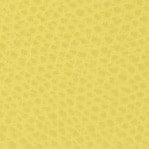 Yellow Furla Camelia S Compact Wallet, natural leather – view 5