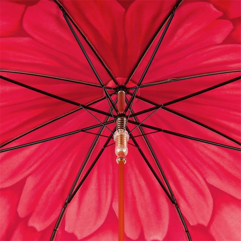 Red Dahlia - Heros