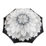 Silver Sunflower - Heros